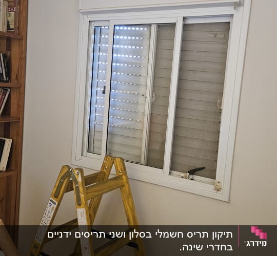 סולם ליד חלון עם תריסים לבנים